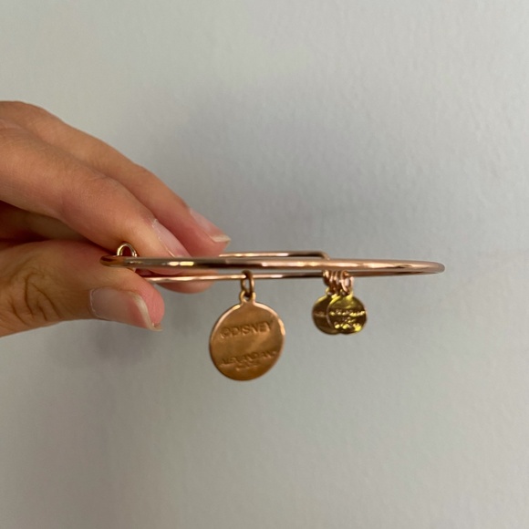 Disney x Alex and Ani // I Live in Fantasy Land Bracelet Set // Rose Gold - Picture 10 of 10